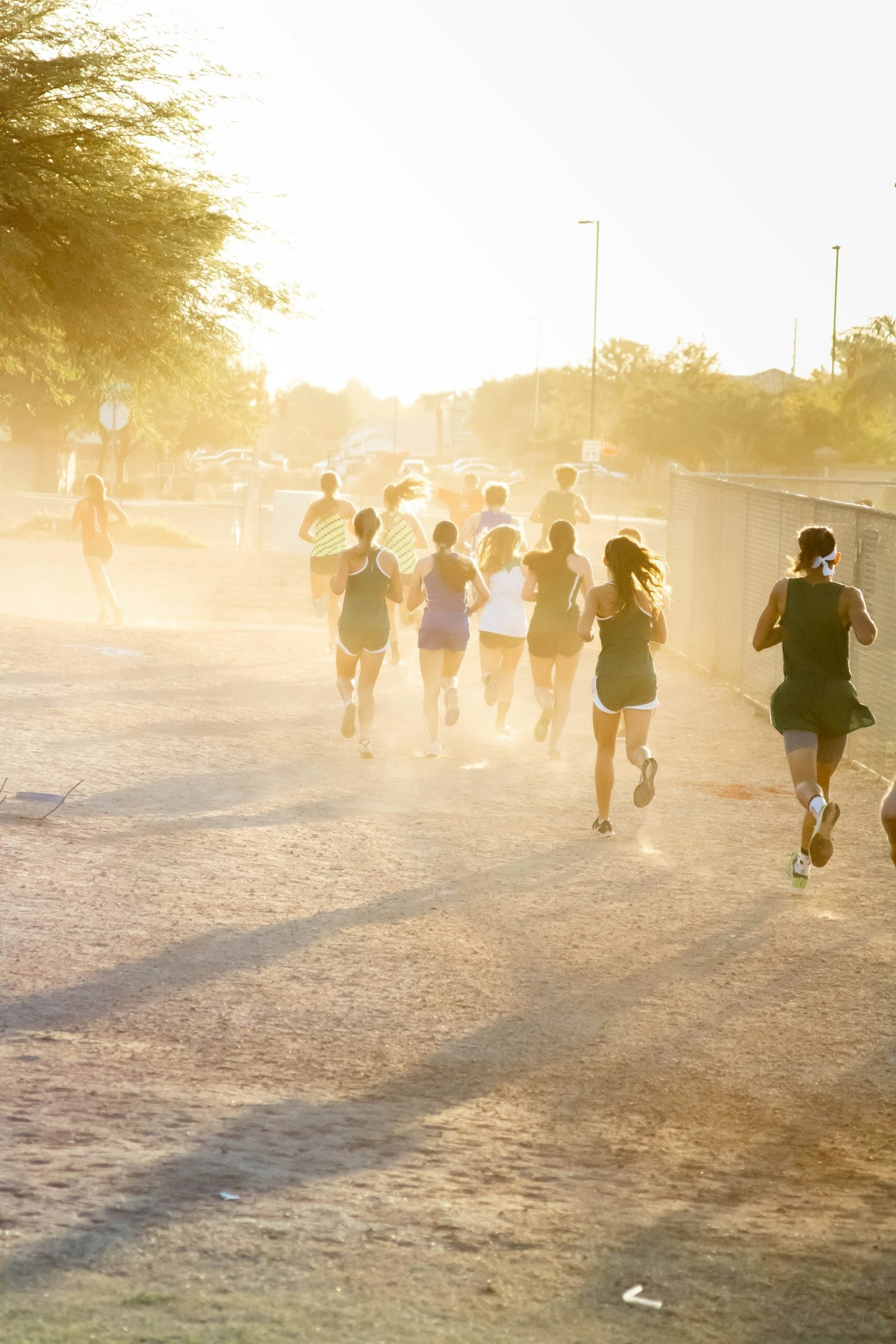 A mixed group of runners on a sunlit road